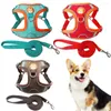 Colarinhos de cães 2pcs/conjunto de chicote de estimação do kit de treinamento universal de cães para pequenos meduim