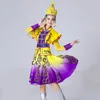 Stage wear for Singers long Mongolian costume Dance clothing ethnic minority dress Chinese performance Folk Dance apparel