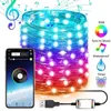 Strips Weihnachtsbaum -Dekorationslichter Customized Smart Bluetooth LED Personalisierte String App Remote Control Dropship