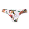 Underpants Men's Underwear Printed Briefs Ice Silk / Traceless Youth Sexy U-convex Bikini Small