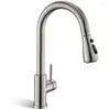 brushed nickel kitchen faucet with pull down sprayer