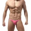 Underpants Men Comfortable Briefs Man Sexy Underwear Ice Silk Seamless Panties Bulge Pouch Low Rise Soft Lingerie