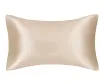 Capas de travesseiro de cetim de cetim de seda lisos respiráveis ​​com encerramento de envelope King Queen Standard Size 2pcs/pack HK0001 B1030