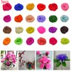 Dekorativa blommor 5st Tensile Nylon Stocking Scrapbooking Craft Fake Flower DIY Handgjorda silktillbehör för bröllopsdekoration