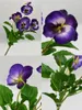 Decorative Flowers 40cm Artificial Pansy Silk Fake Butterfly Orchid Flower Branch Home Office Wedding Decoration