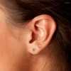 Stud Earrings CANNER White Black Cubic Zirconia Turquoise Earring Set 925 Steling SilverEar For Women Piercing Earings Jewelry