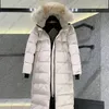 Winter Puffer Jackets Designer Down Jacket