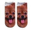 Strumpor 3d hundtryck kvinnor husdjur design kort mode låg ankel barn rolig strumpa med tryck unisex kawaii klädtillbehör släpp de smts4