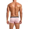 Underbyxor 3st/mycket sexiga män modal boxer shorts sömlös slip homme trosor calsoncillos hombre underkläder trunksbreathable 2xl