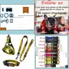 Collari per cani Guinzagli Step In Dog Harness Designer Cani Collari Guinzaglio Set Training Walking Of Your Puppy Harnesses Cool Letter Patte Dhffc