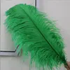 Ostrich Feather Plume 20-22 inch 50-55 cm for wedding centerpiece table party event decor festive decoration White Black Colorful Color