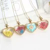 Verre amour coeur collier pour femmes couleur or fleur séchée pendentif chaîne mode bijoux fête cadeau