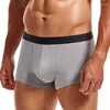 Underbyxor 3st/mycket sexiga män modal boxer shorts sömlös slip homme trosor calsoncillos hombre underkläder trunksbreathable 2xl