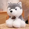 20cm Kawaii Teddy Dog Husky Plush Toys Lovely Bichifed Animals Dog Dolls para beb￪ Presente Infantil