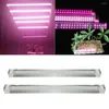 Cultivez des lumières 90cm pleine bande de Tube de lumière LED Veg Bloom plante Double ligne T8 Tubes lampe