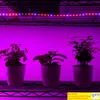 전체 스펙트럼 SMD5050 LED 성장 스트립 라이트 비수 방전 LED 수경 식물 재배 램프 성장 램프 재배 상자 빨간색 파란색 4 ~ 1