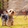 Colliers pour chiens laisse glisser doux mince fait à la main en cuir véritable collier de chaîne de chiot pour petits chiens moyens formation marche