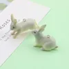 Charms 2pcs Korea Funny żywica Śliczne odkrycia DIY Ręcznie robione kreatywne kolczyki z kluczem do kluczy zwierząt