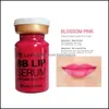 Lip Gloss BB Kit Lip Serum Creme Gloss Semi Permanente Lips Maquiagem Para Salão de Beleza Hidratante e Diretoria Diretiva 2022 Saúde DHC84