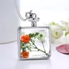 Square Dried Flower Long Necklace for Women Gold Color Pendant Necklace Fashion Jewelry Party Gift