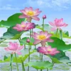 Tapeta 3D Mural 3D Lotus Srebrny karp Piękna sceneria salon sypialnia ścienna HD Tally