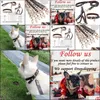 Dog Collars Leashes Leather Designer Dogs Collar Leashes Set Classic Plaid Pet Leash Step In Dog Harness For Small Medium Cat Chih Dhc3B