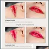 Lip Gloss BB Kit Lip Serum Creme Gloss Semi Permanente Lips Maquiagem Para Salão de Beleza Hidratante e Diretoria Diretiva 2022 Saúde DHC84