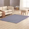 Tapijten niet-slip zacht kort pluche tapijt Modern absorberend vloerkleed Woonkamer pad salontafel deken slaapkamer kussen bedachtige yoga mat