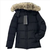 Wholesale Goose Coats at cheap prices DHgate