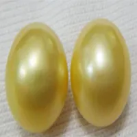 Naturlig enorm 12-13mm South Sea Golden Stud Pearl Earring 14KT270F
