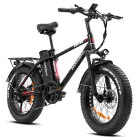 전기 자전거 20 "750W 강력한 48V/13AH 리튬 셀 PAS 보조 전기 4.0 산 E 자전거 지방 타이어