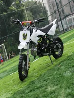 Das neue Vierstroke ATV 125ccm Motorcycle Small Flying Eagle Offroad Fahrzeug Kinder039s TWOWHEELED8378376