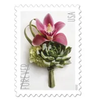 Other Decorative Stickers Global Poinsettia 2 Sheets Of 10 International First Class Us Postage Stamps Mail Holiday Celebration Fl6500307