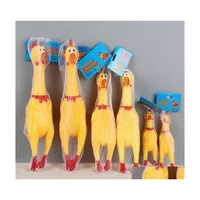 Zabawki dla psów żucia krzyczące kurczak ściskanie dźwięku zabawkowe zwierzęta Produkt przenikliwe