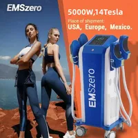 DLS-Emslim الكهرومغناطيسي الجسم Emszero تنحيف التحفيز إزالة الدهون جسم تنحيف آلة العضلات 14 Tesla 5000W