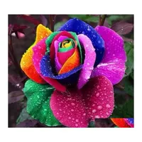 Andra trädgårdsmaterial 120 st/set Flower Seed Holland Rose Lover Gift Orange Green Rainbow Rare Color för att välja DIY Home Gardening Dr Oturf