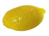 1pcs фруктовый музыкальный инструмент Shaker Перкуссия для детей Lemon Maraca6109535