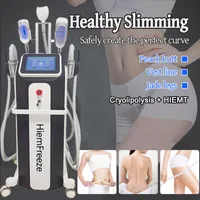 Home Use Cryolipolysis Fat Freeze Machine Fitness Muscle Build Vertical HIEMT Slimming Device Weight Loss Reshape Body Line