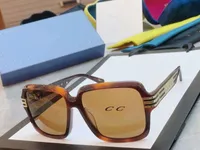 Güneş Gözlüğü Moda Lüks Tasarımcı Erkekler İçin Güneş Gözlüğü Kadın Vintage Square Mat Çerçeve Mektup Baskılı Renk Film Gözlükleri Eğilim Boş Zaman Stili Anti-Urtraviyole S9