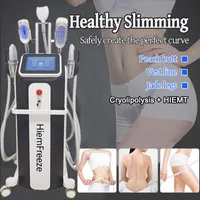 Vertical Cryolipolysis Fat Freeze Machine 2 IN 1 Cryo Therapy Slimming Weight Loss Cellulite Removal Emslim HIEMT Muscle Build Reshape Body Line