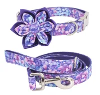 Purple Magic Girl Dog Collar Dog Flower and Leash Set for Pet Dog Cat com fivela de metal de ouro rosa C1005