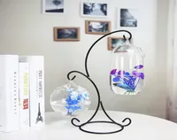 Aquariums Creative Doubledeck Suspended Transparent Hanging Glass Fish Tank Infusion Bottle Aquarium Flower Plant Vase