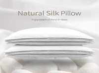 Pillow Chinese Natural 100 Silk 15kg18kg20kg Pillows Mulberry El Memory For Health Sleeping Cotton Case5318514
