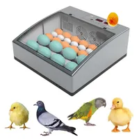 Double Power 24 ovos incubadora totalmente automática Mini ninhada de frango Incubadora de ovos de ovo Ferramenta de incubação da fazenda