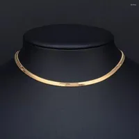 Łańcuchy ze stali nierdzewnej płaski naszyjnik łańcuchowy do jodełka dla kobiet złoty srebrny kolor obojczyka ostrza węża szyjki 2,5 mm/3 mm