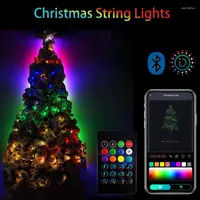 Strings 5 10M Outdoor LED Light Garden Fairy Lights String Waterproof Bluetooth USB Christmas Garland Yard Lamp Decoration