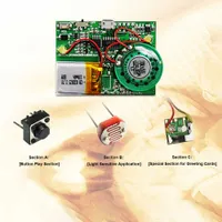 8MB MP3 Recordable PCB Sound Module USB Downloadable for Greeting Cards Press-button Light Control Reed Switch