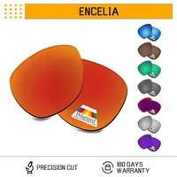 نظارة شمسية إطارات العدسات البديلة المستقطبة للاستقطاب لإطار إنسيليا - خيارات متعددة