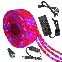 Grow Lights 12V Plant Full Spectrum LED Strip Flower Phyto Lamp 5m Red Blue 3:1 4:1 5:1 For Greenhouse Hydroponic Power Adapter