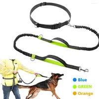 Dog Collars Retractable Hands Free Leash For Running Dual Handle Bungee Reflective Up To 150 Lbs Large Dogs Bag Dispenser